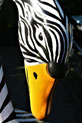 Zebra Theme - Zebra Swan