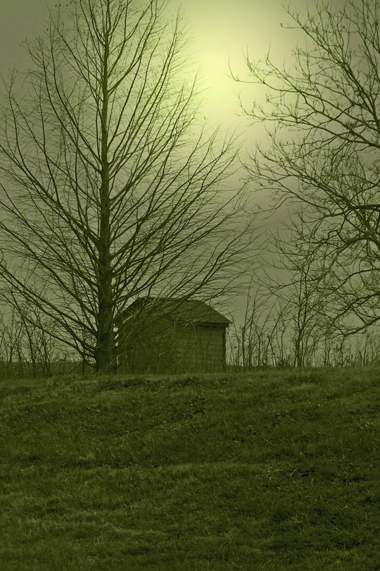 Moonlit Shack by Christopher Woods