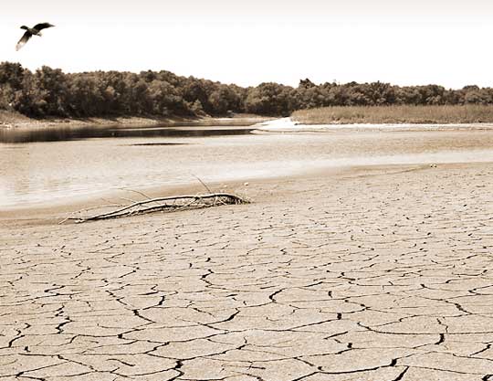 Drought Drought