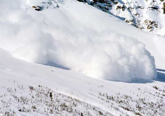A Snowball's Chance A Snowball's Chance
