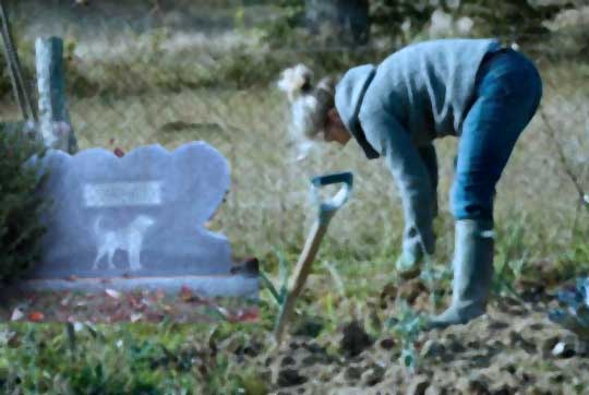 Weeding a Dog's Grave