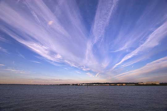 Along the Potomac