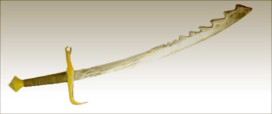Biography of a Sword Biography of a Sword