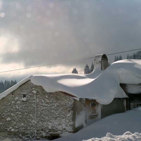 Winter Stand Winter Stand